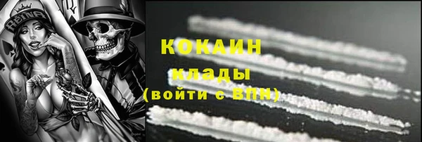 шишки Осинники